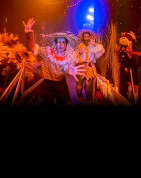 Truco o Trato: vive el primer pasaje infantil de Halloween Truco o Trato: vive el primer pasaje infantil de Halloween